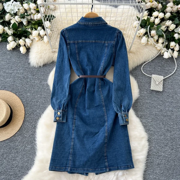 LE2669 French Retro Design Office Woman Denim Dresses Embroidery Lapel Waist Slimmer Single-Breasted Denim Midi Dress Women 2025 - Image 2