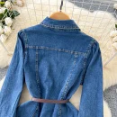 LE2669 French Retro Design Office Woman Denim Dresses Embroidery Lapel Waist Slimmer Single-Breasted Denim Midi Dress Women 2025
