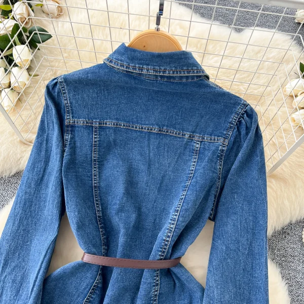LE2669 French Retro Design Office Woman Denim Dresses Embroidery Lapel Waist Slimmer Single-Breasted Denim Midi Dress Women 2025 - Image 6